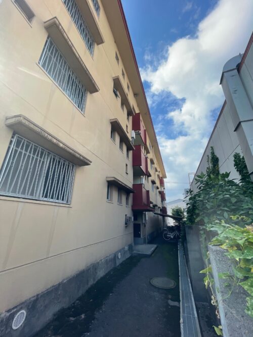 北側　境界線(外観)